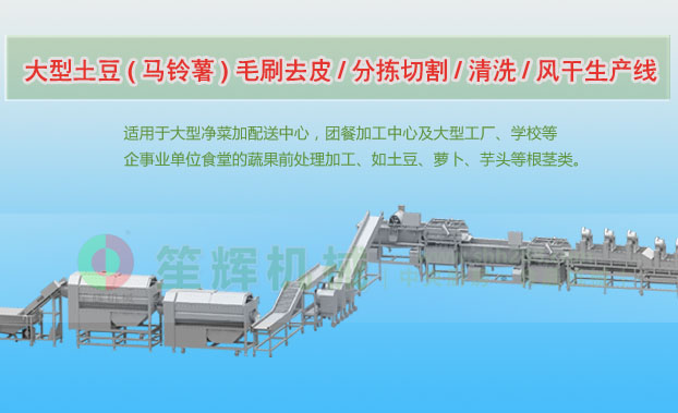 金山连续式土豆去皮清洗切割风干生产线